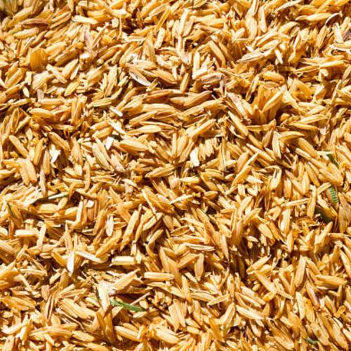 Tại Sao Năng Lượng Xanh Từ Trấu Đang Được Ưu Tiên Hiện Nay?