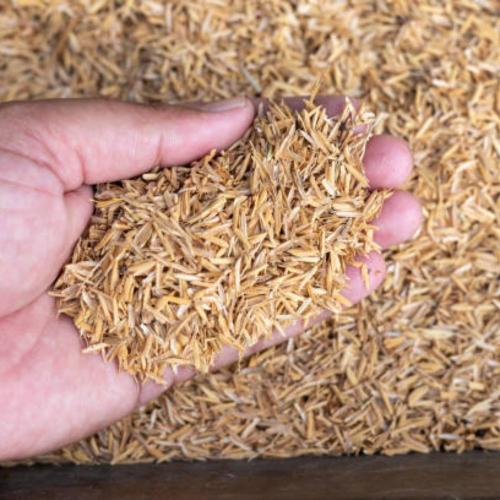 Biến Trấu Thành Lợi Nhuận: Cơ Hội Cho Doanh Nghiệp Việt