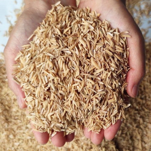 Vì Sao Nhiều Nhà Máy Chuyển Sang Sử Dụng Vỏ Trấu?