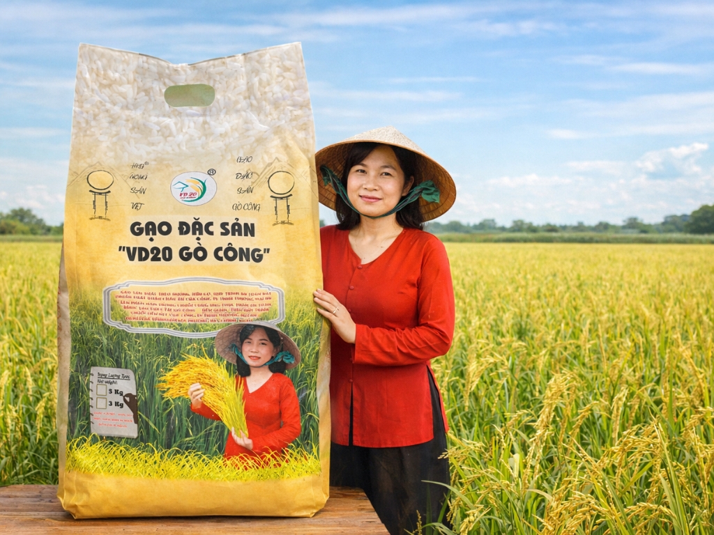 Thành phần & Xuất xứ