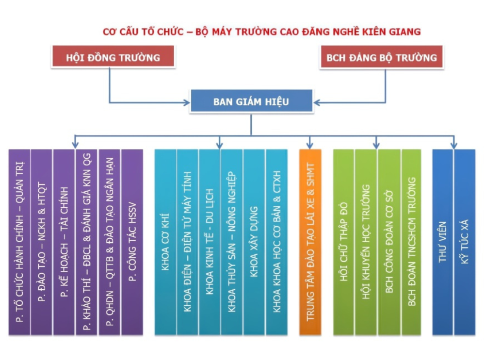 Cơ cấu tổ chức
