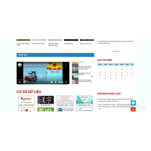 Hình ảnh thực tế