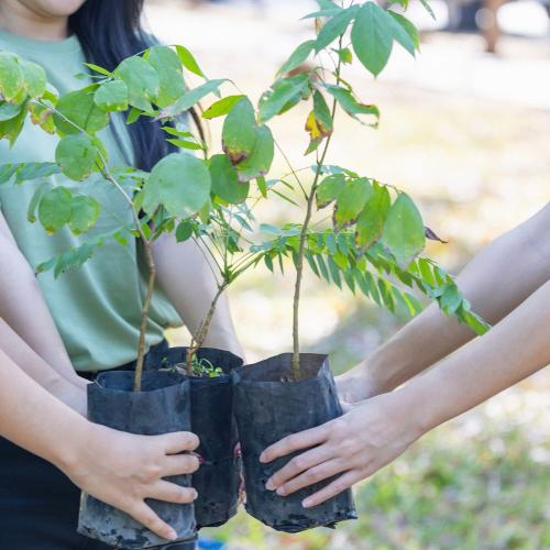 Hành Trình Tình Nguyện Hè 2025 - Ghi Dấu Tuổi Trẻ Qua Những Hoạt Động Ý Nghĩa
