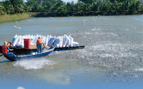 Giá trị cốt lõi