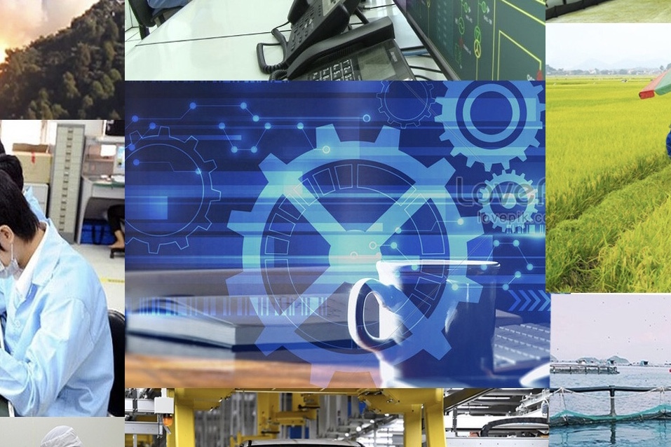 Các lĩnh vực chính của thương mại quốc tế