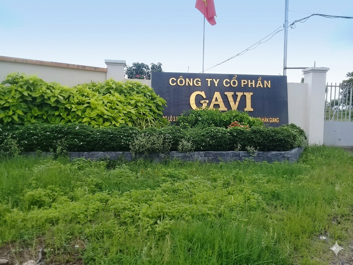 Lịch sử hình thành