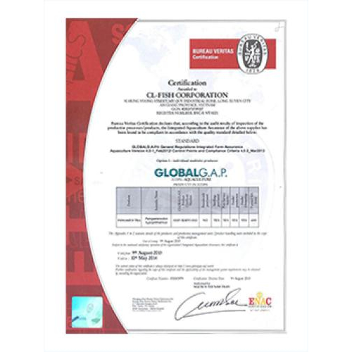 Giấy chứng nhận - Bằng khen