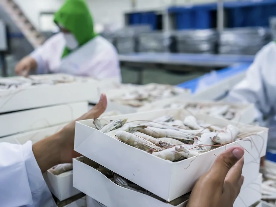 Các lĩnh vực hoạt động trọng điểm
