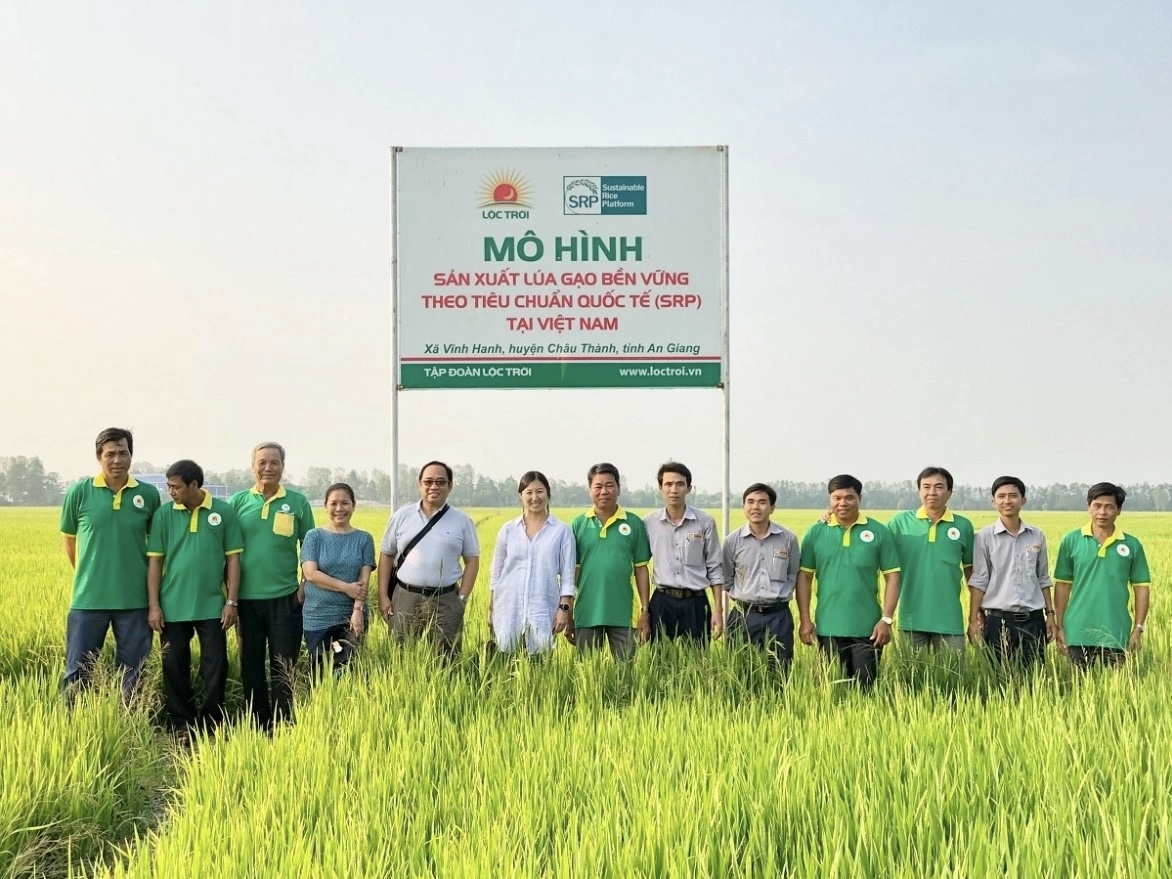Câu Chuyện Về "Hạt Ngọc" Và Khát Vọng Toàn Cầu