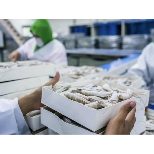 Các lĩnh vực hoạt động trọng điểm