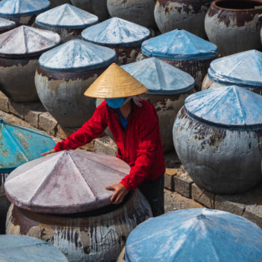 Những Loại Cá Được Ưa Chuộng Để Làm Nguyên Liệu Cho Những Loại Nước Mắm Truyền Thống