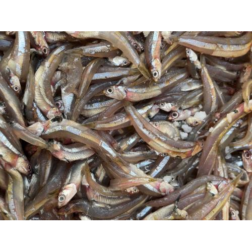 5 Dấu Hiệu Để Chọn Nước Mắm Sạch Có Thể Bạn Chưa Biết