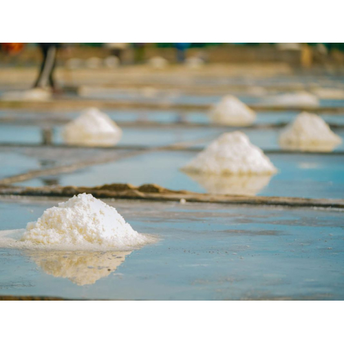 Muối Biển – Linh Hồn Của Nước Mắm Cá Cơm Hải Hương