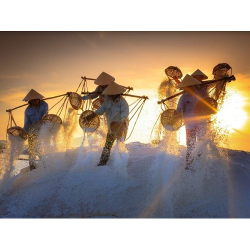 Muối Biển – Linh Hồn Của Nước Mắm Cá Cơm Hải Hương