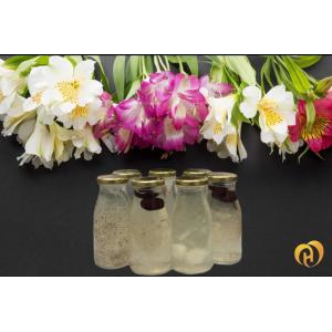 Công Ty TNHH Sản Xuất Thương Mại Hải Hương