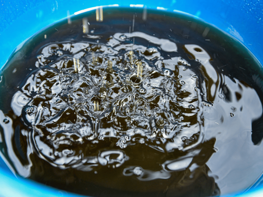 Nước mắm Việt hương vị quê hương lan rộng khắp châu Âu