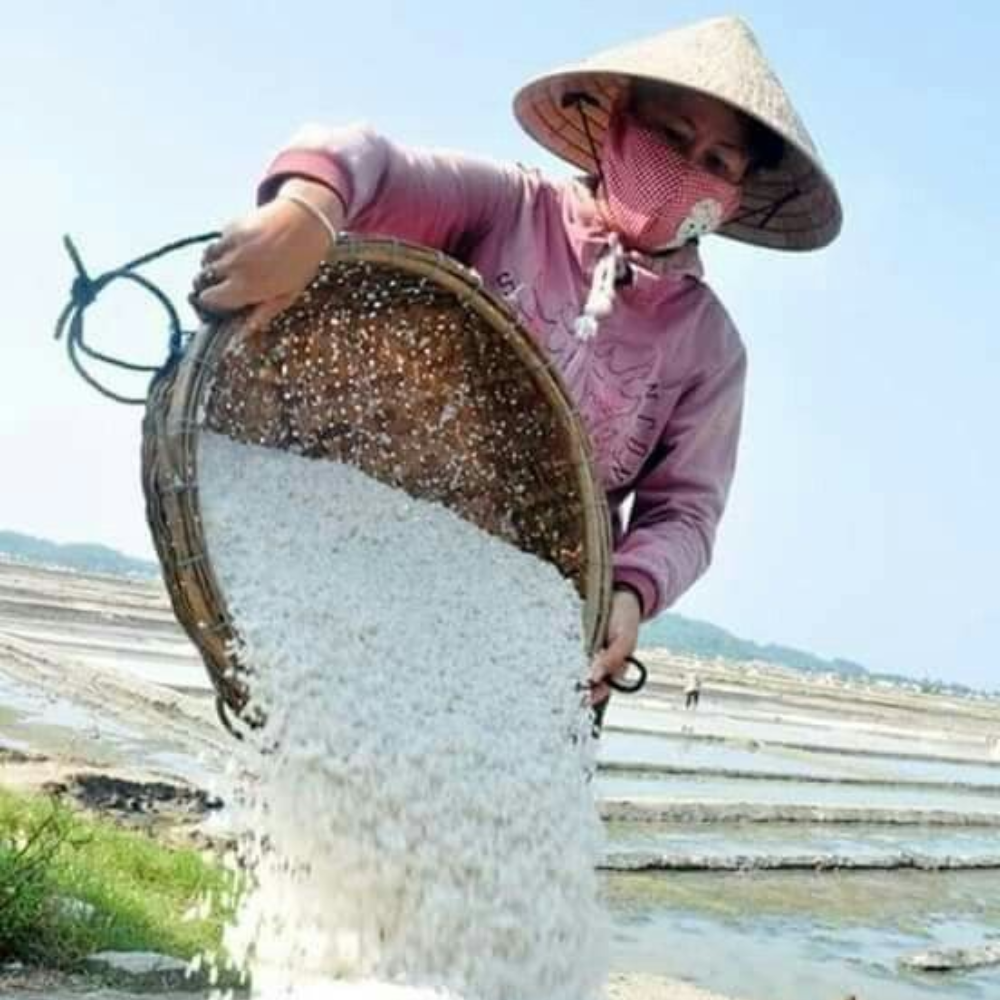 Vì Sao Muối Biển Luôn Là Lựa Chọn Hàng Đầu Trong Nghề Làm Nước Mắm Truyền Thống?