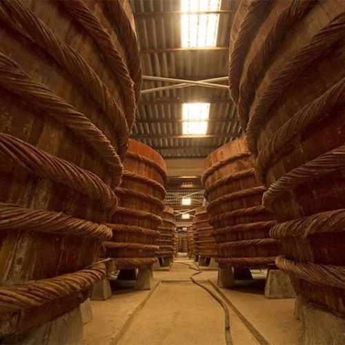 Nước Mắm Truyền Thống Di Sản Và Báu Vật Của Người Việt