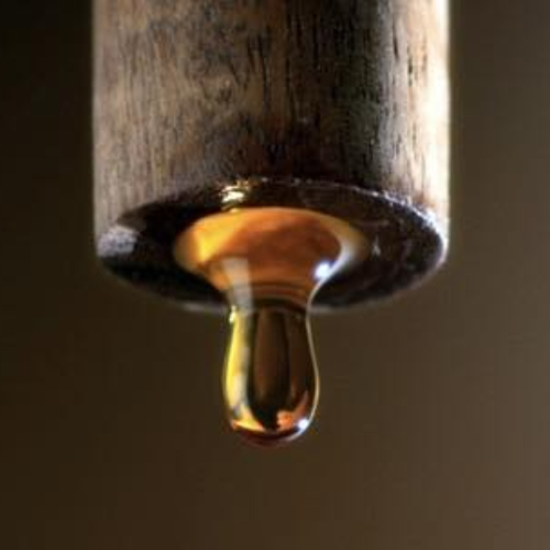 Vì Sao Thế Hệ Trẻ Bắt Đầu Quan Tâm Đến Nước Mắm Nguyên Chất?