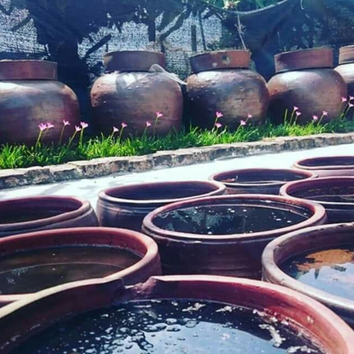 Nghề Làm Nước Mắm Truyền Thống Có Từ Bao Giờ? Hành Trình Hàng Trăm Năm Của Một Gia Vị Việt