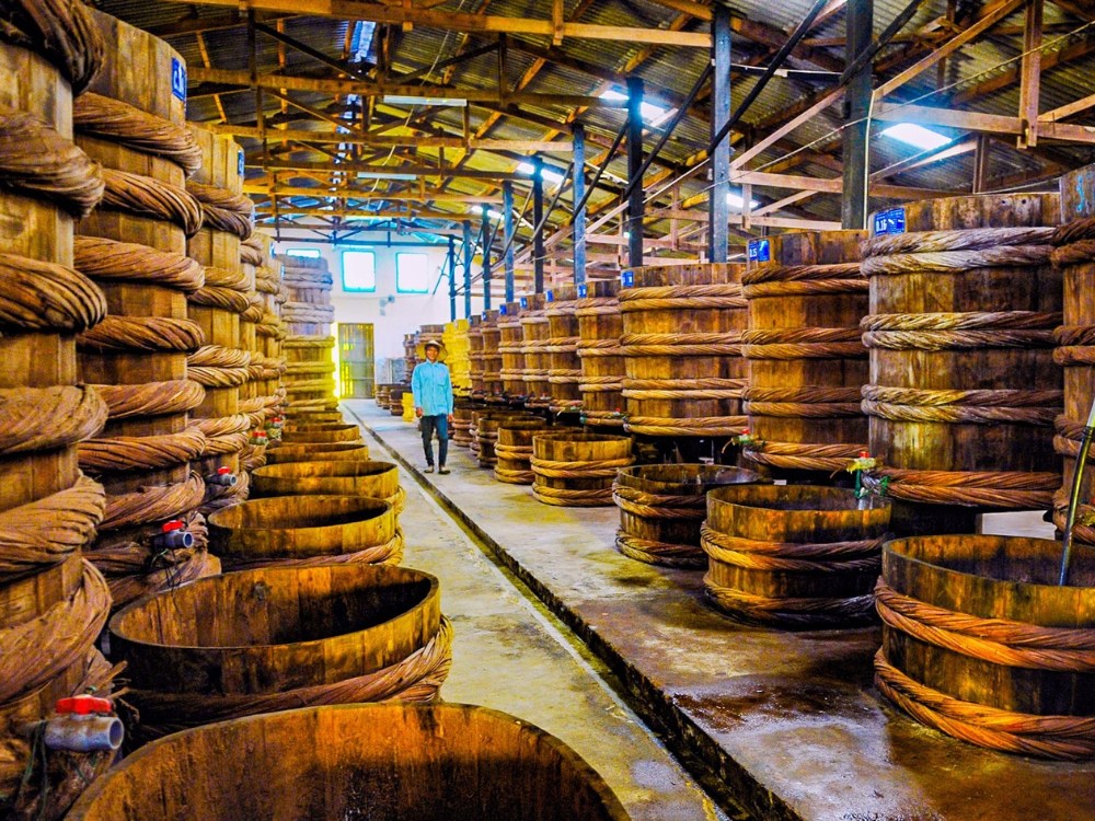 Giá trị kinh tế và sinh kế cho cộng đồng ven biển