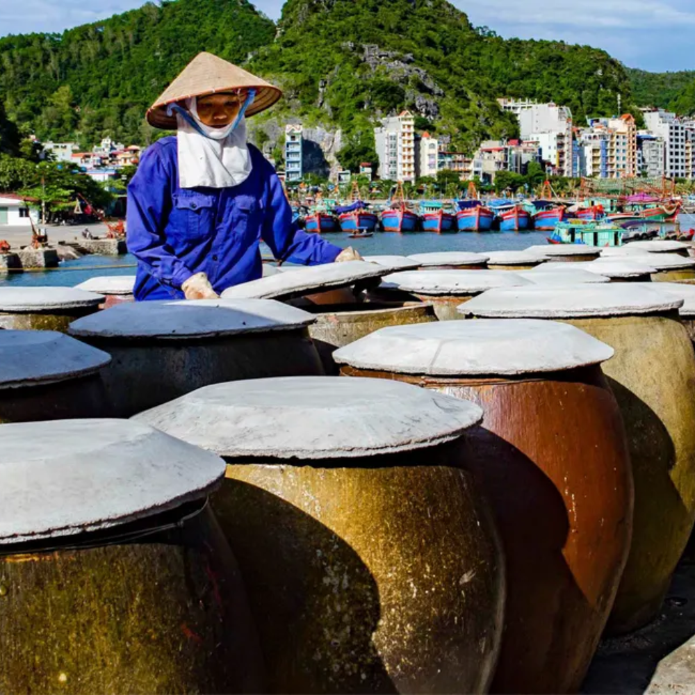 Nước Mắm Truyền Thống Và Giá Trị Làng Nghề Việt – Tinh Hoa Từ Biển Cả