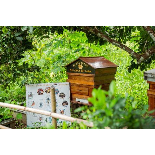 (TOUR GHÉP) Chèo Thuyền Thúng Sông Cửa Cạn + Tham Quan Trang Trại Mật Ong