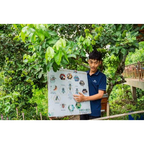 (TOUR GHÉP) Chèo Thuyền Thúng Sông Cửa Cạn + Tham Quan Trang Trại Mật Ong