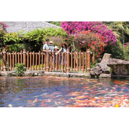 Chi tiết dịch vụ