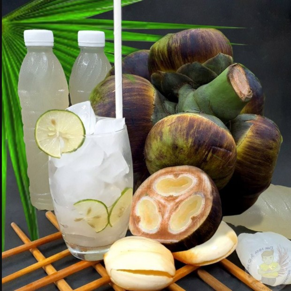 Khám Phá Ẩm Thực Các Món Ăn Từ Thốt Nốt