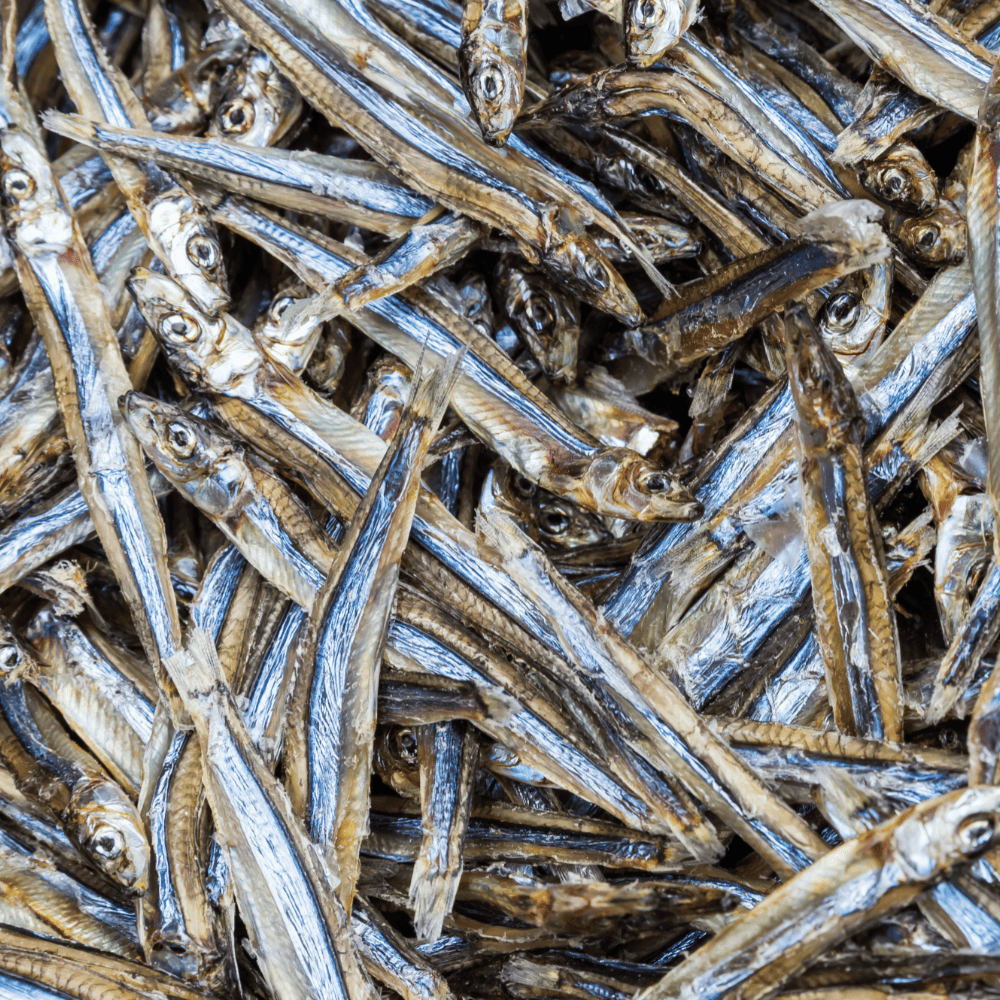 Bảo Quản Khô Cá Xanh Xương Đúng Cách Để Giữ Độ Ngon Lâu Dài