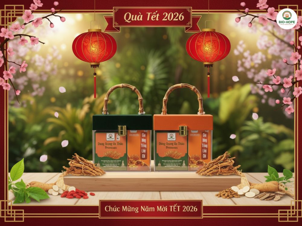 Một số trường hợp nên sử dụng