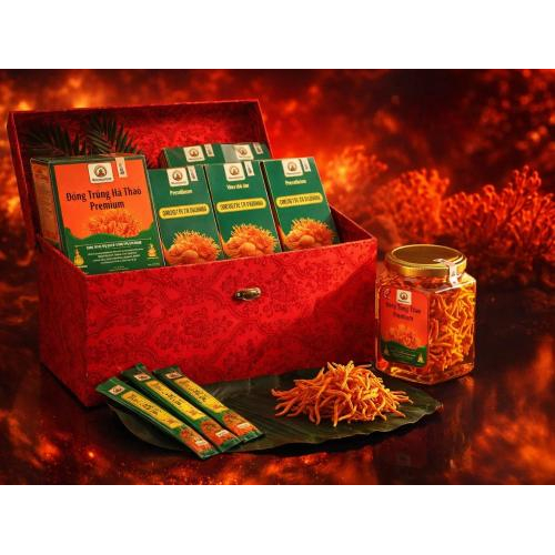 Giới thiệu về bộ quà sức khỏe 11