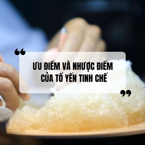 Tổ Yến Tinh Chế Là Gì? Ưu Và Nhược Điểm Của Tổ Yến Tinh Chế