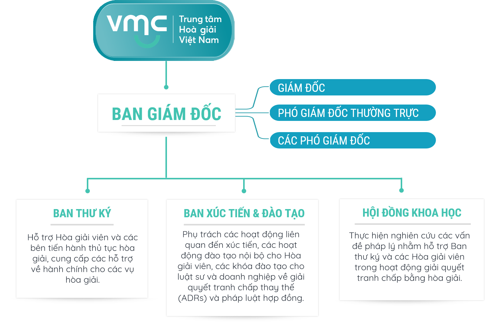 Cơ cấu tổ chức