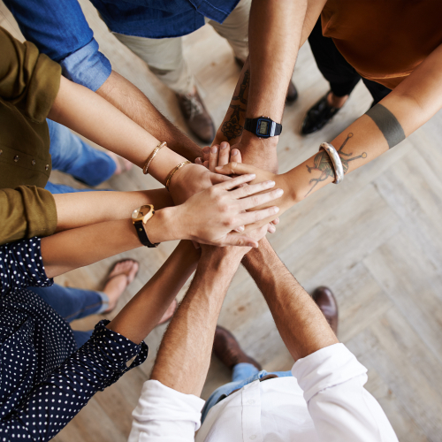 Luật sư chính thức