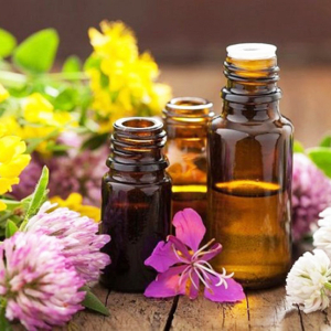 Lợi Ích Sức Khoẻ Của Tinh Dầu Thiên Nhiên