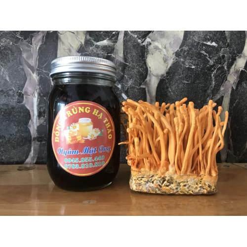 Thành Phần Và Xuất Xứ