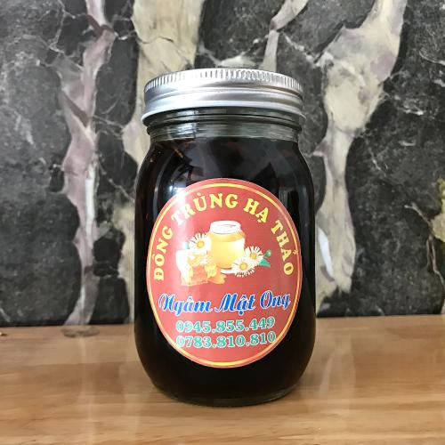 Mật Ong Đông Trùng Hạ Thảo - Đẳng Cấp Chăm Sóc Sức Khỏe Thượng Lưu