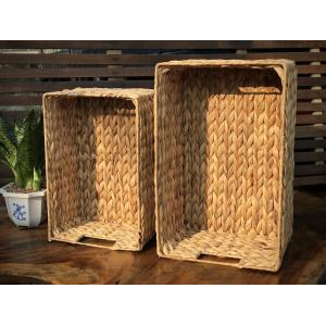 Khay Lục Bình Có Quai Cầm - Size S [33x22x15cm]