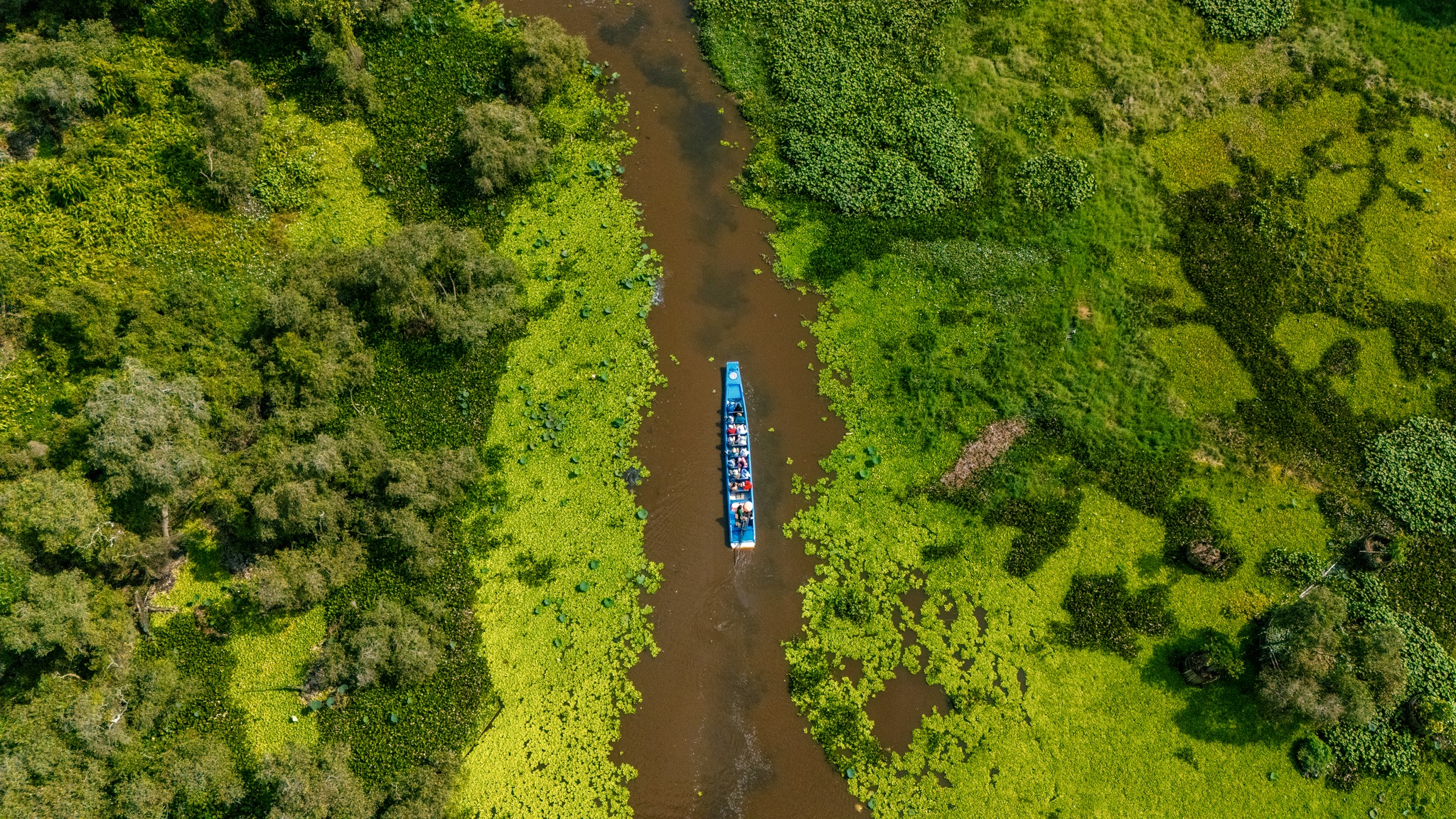 "Lá phổi xanh" của vùng Thất Sơn