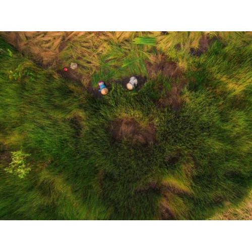 Hợp Tác Xã Phụ Nữ Cỏ Bàng Phú Mỹ