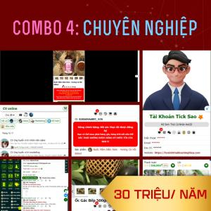 Combo 4: Chuyên nghiệp - 30 Triệu/ Năm