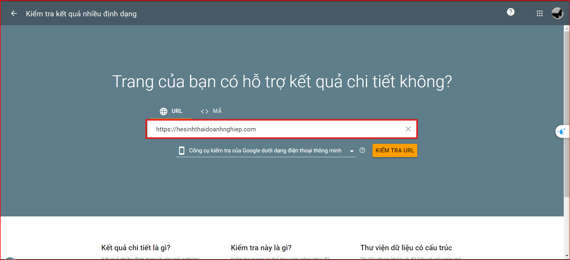 Công cụ kiểm tra Google Rich Results