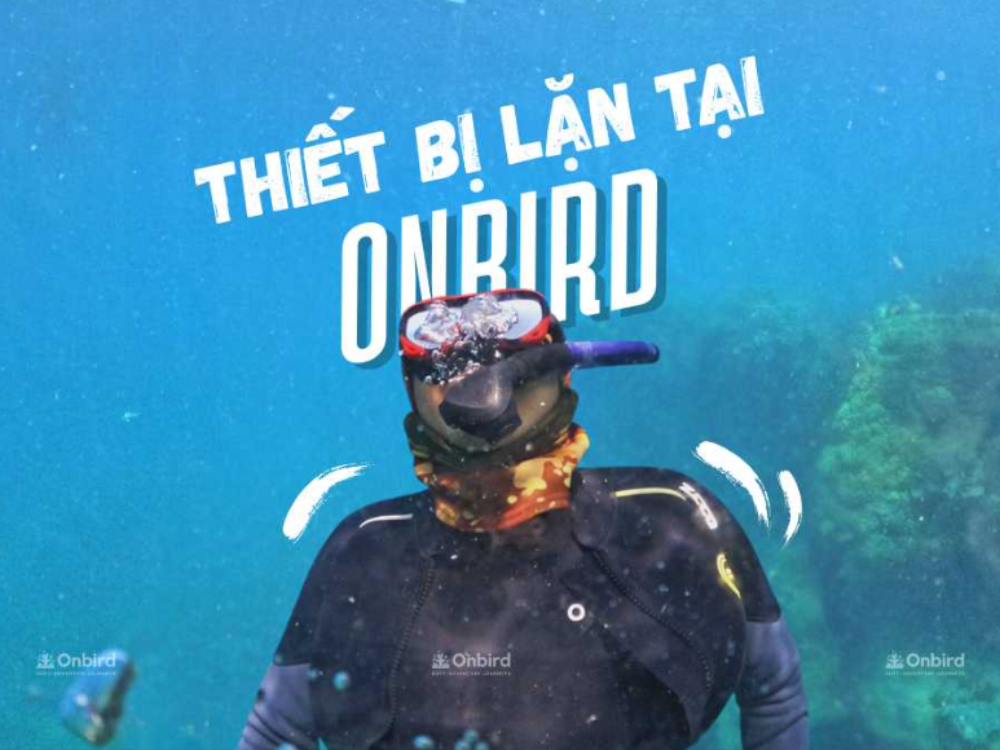  Thiết bị lặn biển tại OnBird: Chú trọng từng chi tiết nhỏ cho trải nghiệm khám phá san hô đáng giá