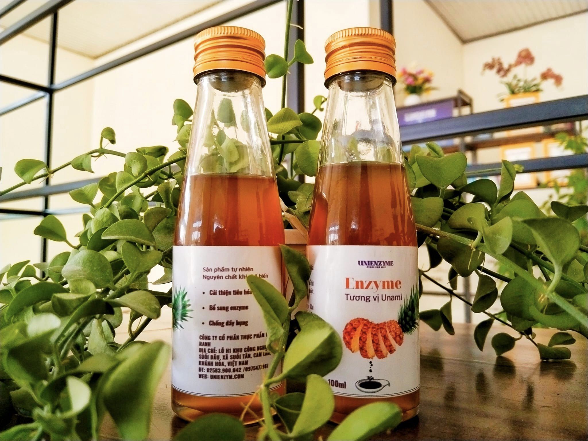 Enzyme Tương Vị Unami