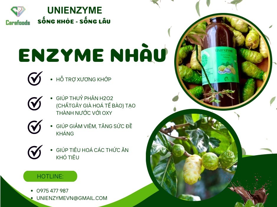 Enzyme Nhàu