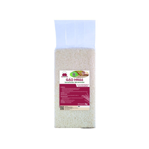 Gạo MN66 Túi 2kg