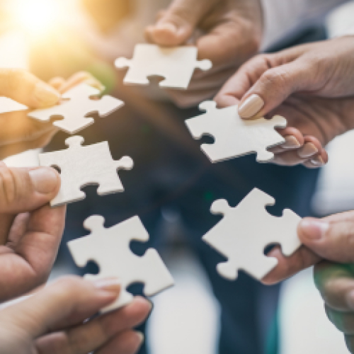 Hệ sinh thái liên minh