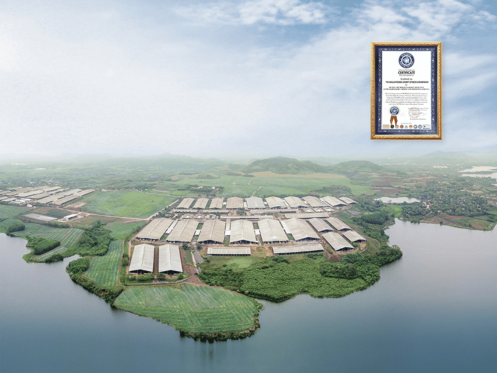 Câu chuyện thật